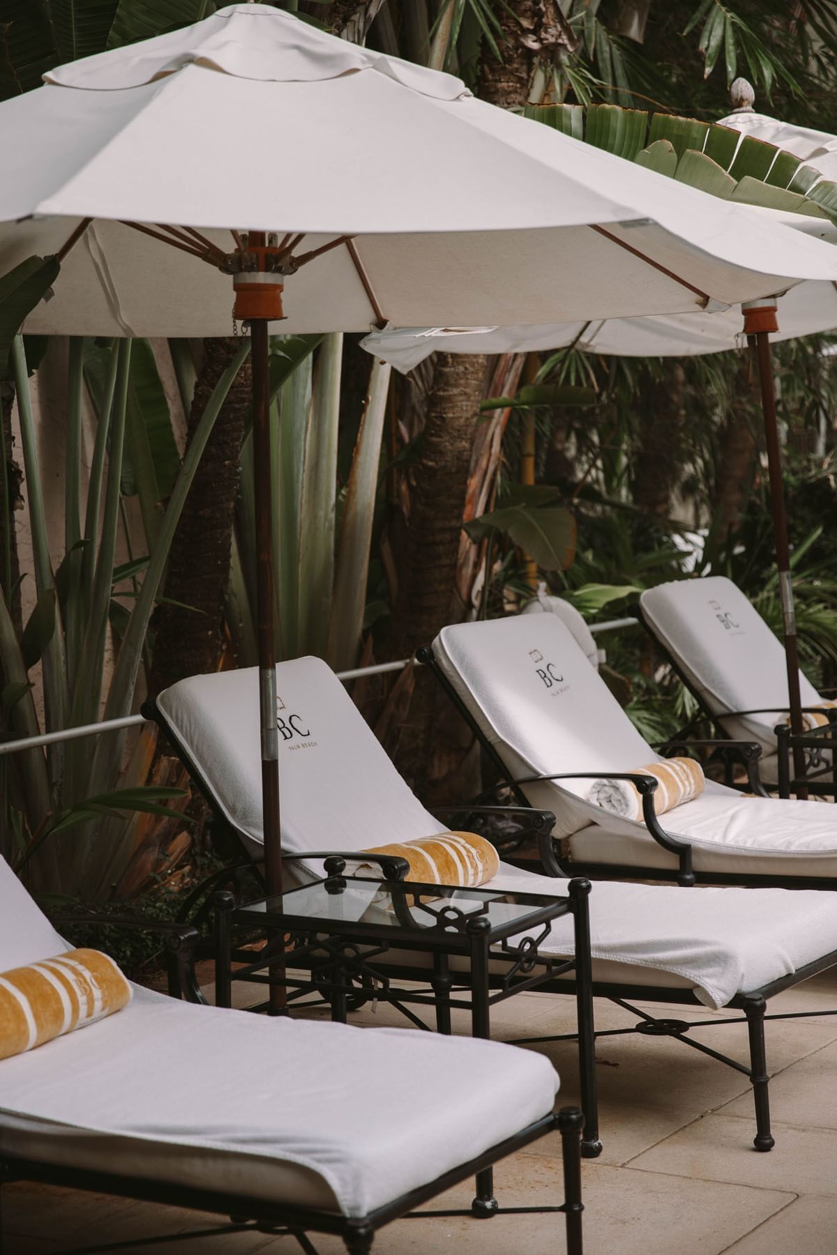 Closeup of a row of lounges by pool at Brazilian Court